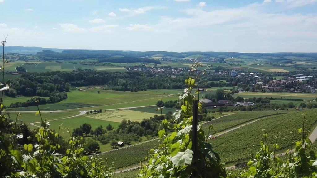 Wein- Appartements Borth Bretzfeld Εξωτερικό φωτογραφία